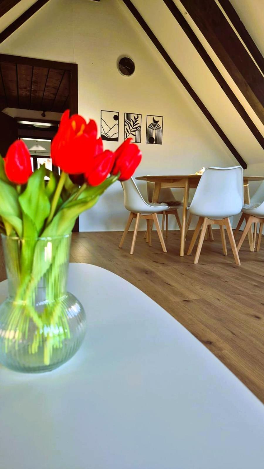 Chalet Schluchsee Ferienwohnung Exteriér fotografie
