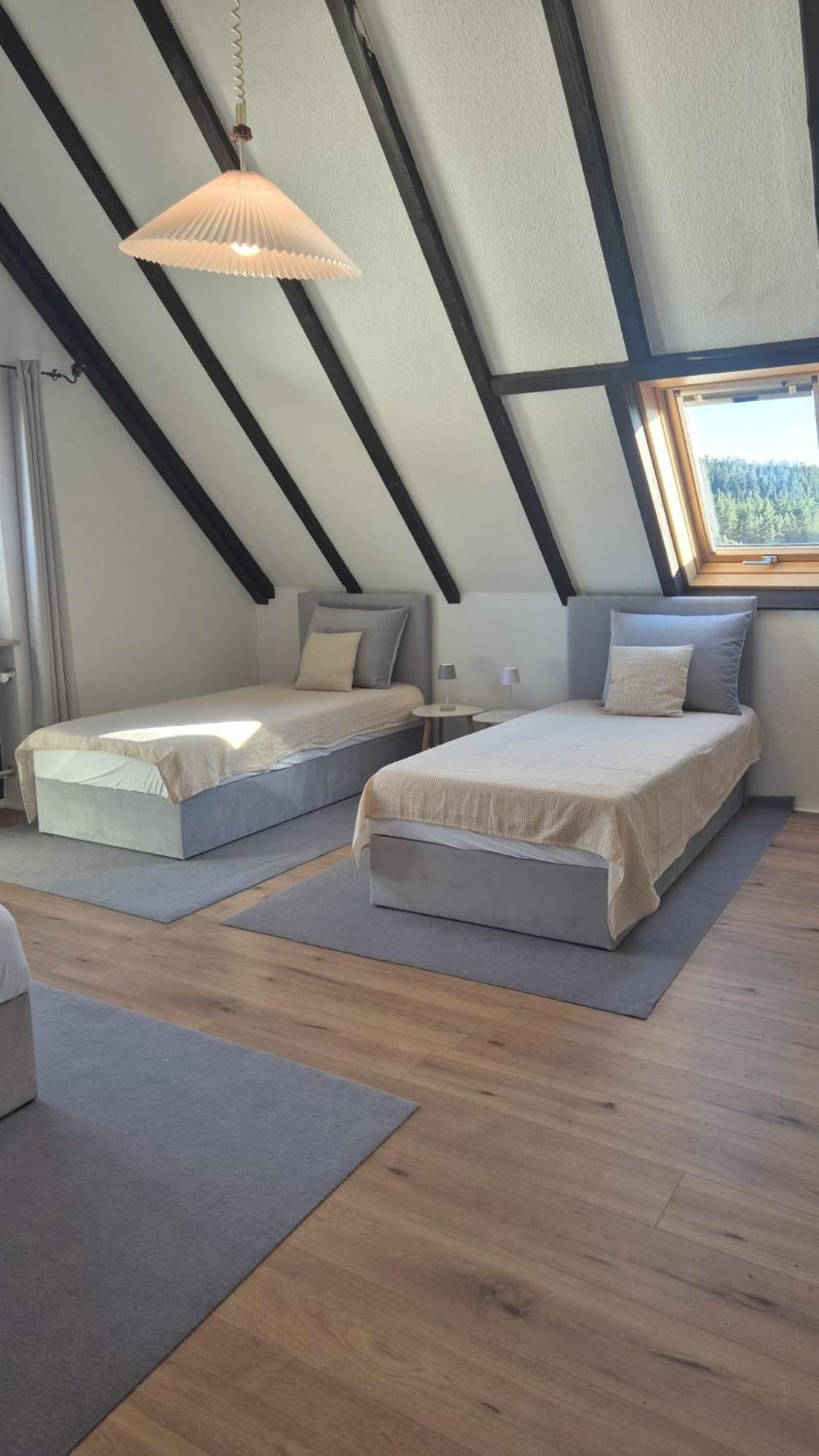 Chalet Schluchsee Ferienwohnung Exteriér fotografie